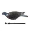 PACK SPECIAL  CHASSE AUX PIGEONS